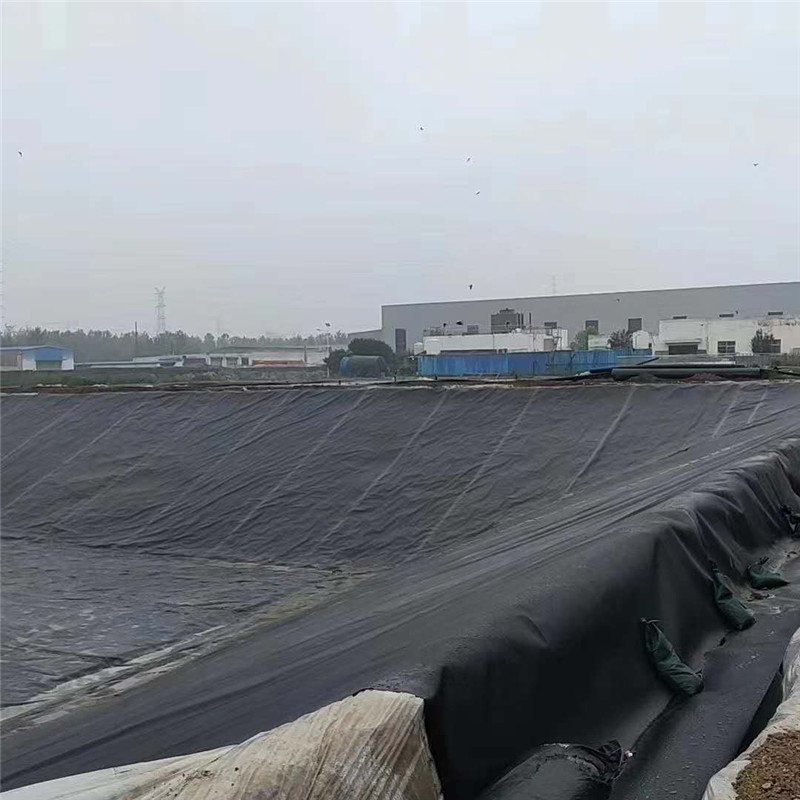 沼氣池黑膜與豬場氧化塘防滲土工膜的應用與優勢