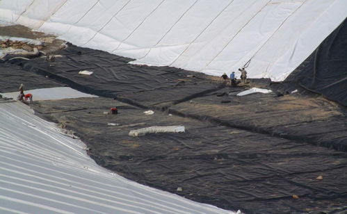 沼氣池優選防滲膜 2.0mm高密度HDPE防滲土工膜全面解析